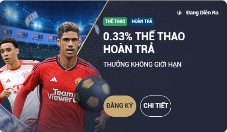 hoàn trả 0.33